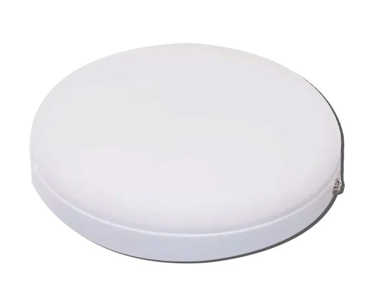 Surface-Mounted Ceiling Lights